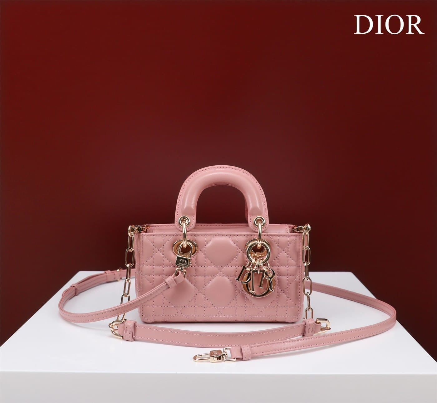 Dior Lady D-Joy bag